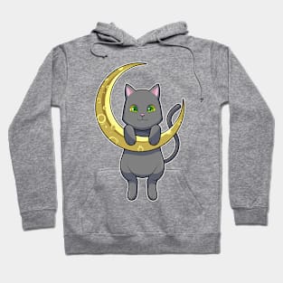 Cat Night Moon Hoodie